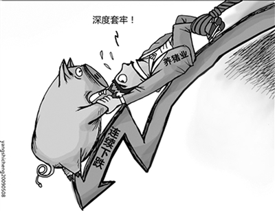 肉價降至三年最低 頻繁&ldquo;蹦極&rdquo;為哪般？