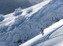 图揭澳大利亚滑雪胜地 景色似仙境