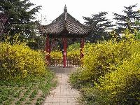 开封禹王台