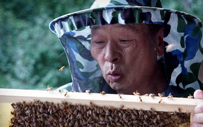 伏牛山區脫貧故事&mdash;&mdash;獨腿養蜂人 領跑脫貧路