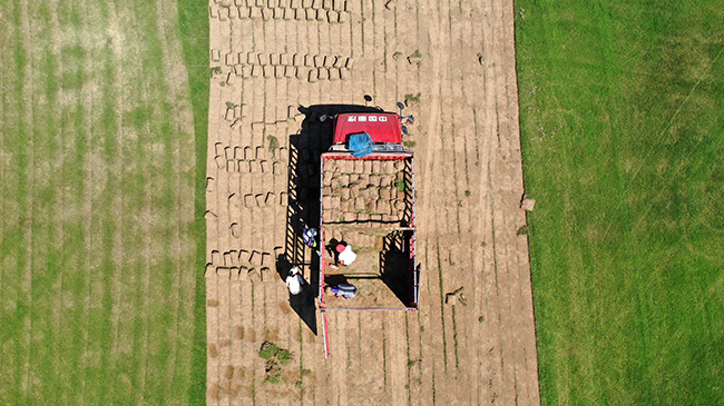 河南蘭考：&ldquo;夢裏張莊&rdquo;産業興