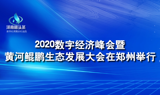 2020數字經濟峰會暨黃河鯤鵬生態發展大會在鄭州舉行