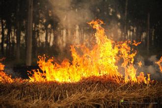 直擊多地秸稈焚燒怪現象
