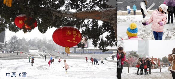 中原飞雪